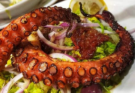 Grilled Octopus